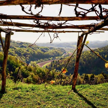 Ferienhaus Haring Kitzeck im Sausal Exterior foto